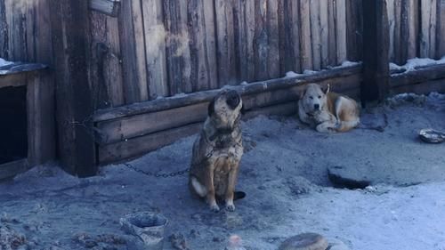 Изображение-image-f49143a1b11acffcb5277d77781fc9f8f228481c-4695x3130-jpg